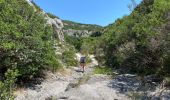 Excursión Senderismo Poulx - La Baume depuis Proulx - Photo 1