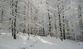 Tocht Te voet Meschede - Wanderweg Freienohl-Hellefeld - Photo 9