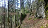 Trail On foot Pegnitz - Rundweg Hollenberg 4 grün - Photo 6