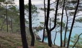 Trail Walking Crozon - Étape 5/6 du tour de Crozon (boucle à partir de St-Hernot) - Photo 6