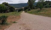 Trail Walking Pamplona - 2023 04 puente la reina - Photo 11