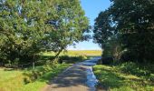 Tocht Stappen Fernelmont - A la découverte de Fernelmont 🥾 - Photo 2