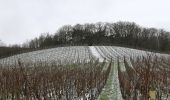 Tocht Te voet Oestrich-Winkel - Quer-Flötenweg - Photo 9