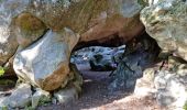 Randonnée Marche Fontainebleau - Sentier Denecourt 1 - Photo 17