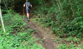 Trail Walking Vresse-sur-Semois - Alle-Frahan-Poupehan en terug - Photo 12