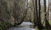 Excursión Senderismo Érezée - A la découverte de Mormont  - Photo 2