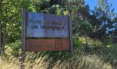 Trail Walking Err - tami de nuria - Photo 7