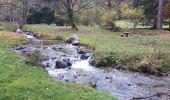 Trail Walking Vaulnaveys-le-Bas - Les Balcons de Belledonne au dėpart de Montchaffrey - Photo 11