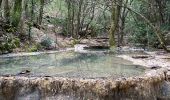 Excursión Senderismo Nans-les-Pins - Source de l’huveaune - Photo 8