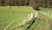 Tour Wandern Comblain-au-Pont - Comblain-au-Pont 7 février 2020 - Photo 2