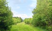 Randonnée Marche Theux - au sud de Bronrome  - Photo 4