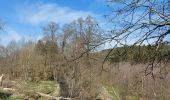 Tour Wandern Sainte-Ode - sentiers artistique d'Orti (Amberloup) - Photo 6