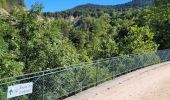 Excursión Bici eléctrica Le Puy-en-Velay - Barrage de lavalette - Photo 11
