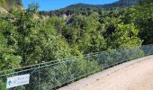 Tour Elektrofahrrad Le Puy-en-Velay - Barrage de lavalette - Photo 11