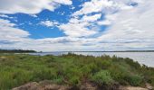 Tocht Stappen Vic-la-Gardiole - Circuit des salines  - Photo 10