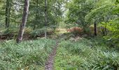 Excursión Senderismo Orrouy - en Forêt de Compiègne_41_autour des Petits Monts - Photo 8