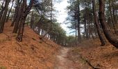 Tour Wandern Bergen (NH) - Groet - schoorlse duinen - Photo 4