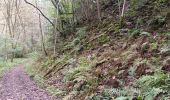 Trail Walking Esneux - mon E d'Esneux - Photo 7