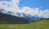 Tocht Mountainbike Le Grand-Bornand - Balcon des Aravis - Photo 3