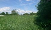 Percorso A piedi Claremorris-Swinford Municipal District - Slieve Cairn Foothills - Photo 4