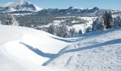 Randonnée Raquettes à neige Saint-Agnan-en-Vercors - Beure - Écondus - Photo 13