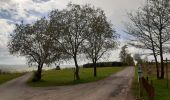 Randonnée Cyclotourisme Amblève - AMEL autour,  en vélo 🚵‍♂️ - Photo 2