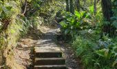 Trail Walking Saint-Claude - Guadeloupe - La Soufrière - La Citerne - Photo 12