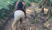 Trail Horseback riding Montsauche-les-Settons - Lac settons 2ème jour - Photo 9