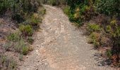 Tocht Stappen Vivès - mme sentier de Vives  - Photo 14