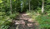 Trail Walking Villers-Cotterêts - en forêt de Retz_87_la Laie des Masures par la Route Chrétiennette - Photo 6