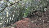 Percorso Marcia L'Albère - ullat - san-cristau / retour par la piste  - Photo 7