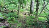 Randonnée Marche Wildenstein - TREK ALSACIEN (boucle sentier de la pierre sauvage) - Photo 10