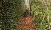 Tocht Stappen Hotton - Ny à travers bois et chemins de campagne - Photo 1