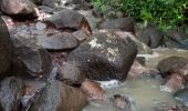 Randonnée Marche Anse d'Arlet - Cap Salomon - Photo 1