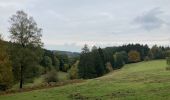 Tocht Stappen La Roche-en-Ardenne - Ramee  - Photo 14