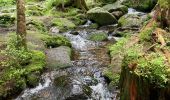 Percorso  Gérardmer - Bourrique, tour et cascade de Merelle - Photo 4