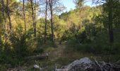 Tour Wandern La Roque-d'Anthéron - PF-La Roque-d'Anthéron - Vallon de la Baume - Roques Menoures - Photo 1