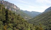 Tocht Stappen Châtillon-en-Diois - Cirque d'Archiane - Les Hauts Plateaux du Vercors - Photo 10