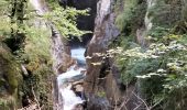 Trail Walking Cauterets - 65-raillere-cascades-11km-480m - Photo 2