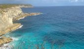 Trail Trail Port-Louis - Anse Bertrand massious porte d’enfer - Photo 9