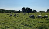 Tocht Stappen Ceyssat - Puy-de-Dôme, Petit Suchet et Grand Suchet - Photo 16