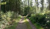 Tocht Stappen Érezée - le trou du loup - Photo 4