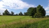 Randonnée Marche Villers-la-Ville - #190324 - Rigenée, rives de la Thyle, château du Châtelet et golf**** - Photo 5