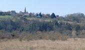 Trail Walking Monétay-sur-Allier - la boire de Monetay + l Trail Walking Monétay-sur-Allier - la boire de Monetay + l