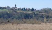 Tocht Stappen Monétay-sur-Allier - la boire de Monetay + l