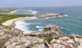 Tocht Stappen Saint-François - Guadeloupe - Pointe des Châteaux (2024) - Photo 14