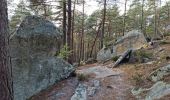 Trail Walking Fontainebleau - Sentier Denecourt 8 8-8 - Photo 3