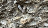 Randonnée Marche Lamanon - Cales - Photo 9