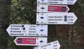 Tour Zu Fuß Seebach - Genießerpfad - Bosensteiner Almpfad - Photo 9