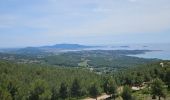 Excursión Senderismo Ollioules - Gros Cerveau - Ollioules - Photo 10